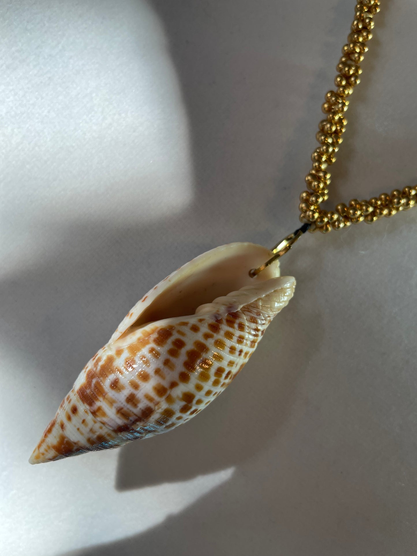 Curated Shell Pendant Necklace