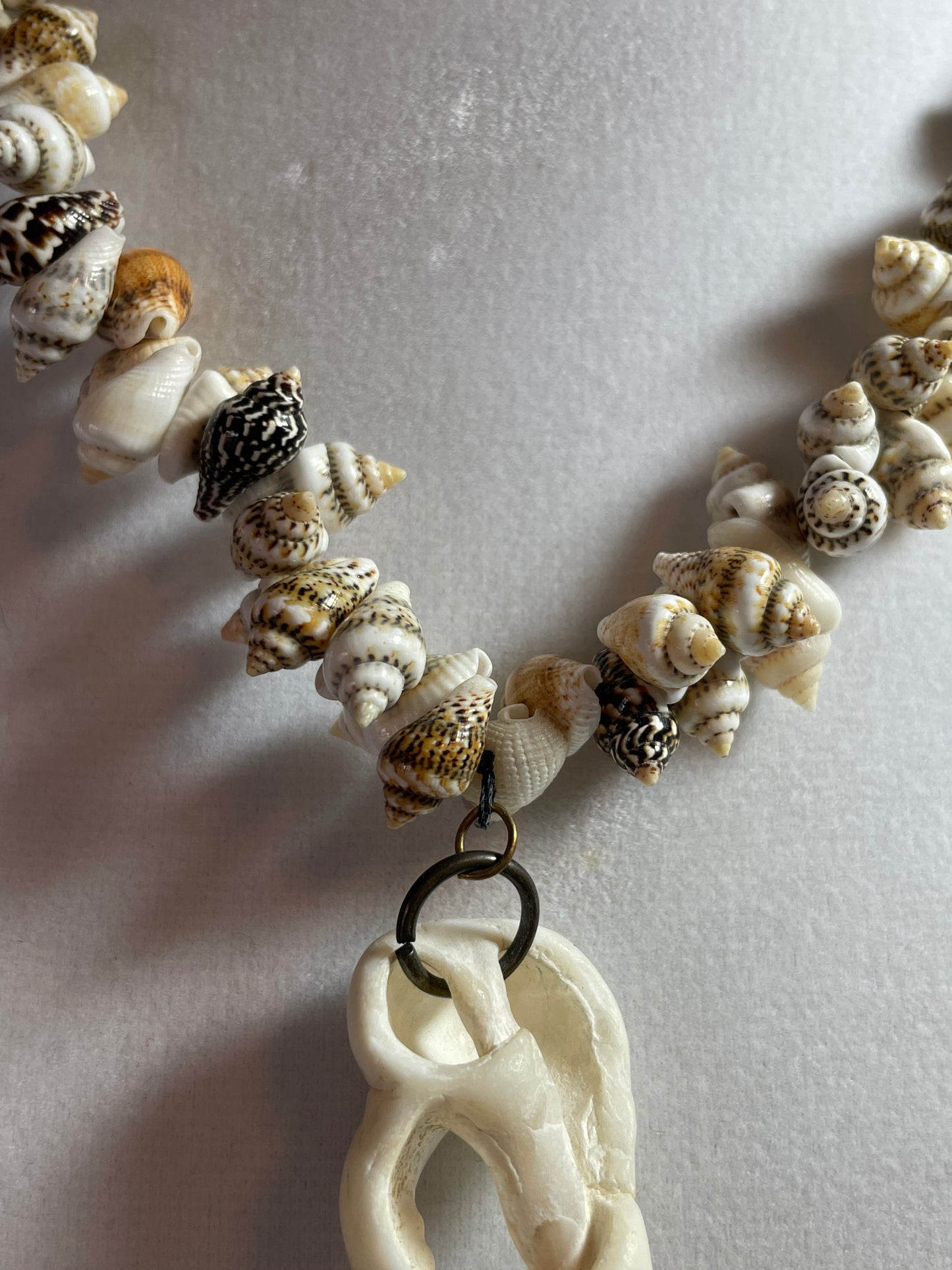 All Seashell Necklace