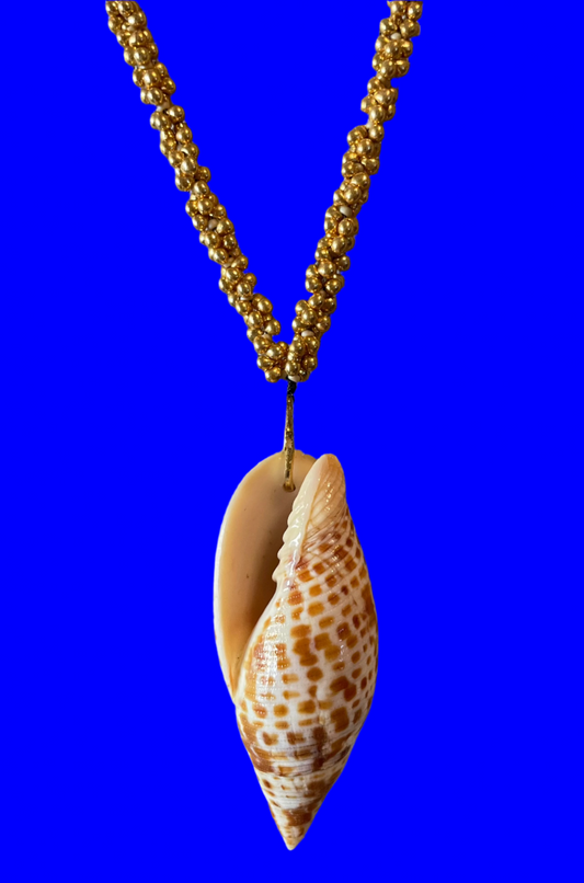 Curated Shell Pendant Necklace